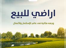 عروووض ارض للبيع بمصفوت سكنى موقع ممتاز عروووض ارض للبيع بمصفوت سكنى موقع ممتاز