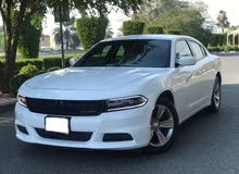 Dodge Charger in Kuwait City