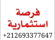 4 هكتار للكراء نوع التربة رملية 4 هكتار للكراء نوع التربة رملية