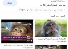 مطلوب قرد في حاله ممتازه مطلوب قرد في حاله ممتازه