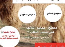 ذبائح للبيع والتوصيل مجاني النعيمية ذبائح للبيع والتوصيل مجاني النعيمية