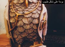 انتيكا بومة على شكل طبيب انتيكا بومة على شكل طبيب