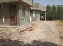 5 Bedrooms Farms for Sale in Najaf Kufa