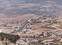 Farm Land for Sale in Jerash Al-Mastaba