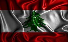 /seller consultation real estate /بيع وشراء جميع انواع العقارات /seller consultation real estate /بيع وشراء جميع انواع العقارات