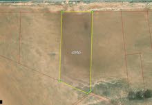 قطعة ارض للبيع في المفرق – شرق الاكيدر