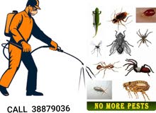 Professional cleaning services and pest control Professional cleaning services and pest control