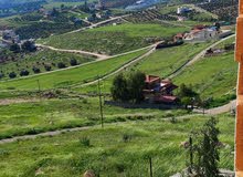 دنم مفروز بقوشان مستقل داخل اسكان المهندسين عنيبه جرش دنم مفروز بقوشان مستقل داخل اسكان المهندسين عنيبه جرش