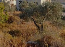Residential Land for Sale in Ramallah and Al-Bireh Qarawat Bani Zeid