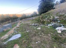 Residential Land for Sale in Ajloun Sakhra