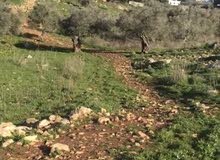 ارض للبيع الجنوب مرجعيون ( الطيبه) ارض للبيع الجنوب مرجعيون ( الطيبه)