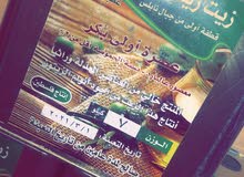 للبيع زيت زيتون فلسطيني اصلي للبيع زيت زيتون فلسطيني اصلي
