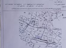 (رقم 153) ارض مميزة في البيرة