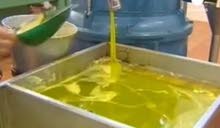 زيت زيتون عال الجودة من الجنوب التونسي زيت زيتون عال الجودة من الجنوب التونسي