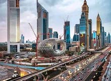 توصيل حيونات بنفس اليوم توصيل حيونات بنفس اليوم