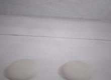 خبز صاج خبز صاج