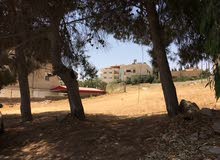 Commercial Land for Sale in Al Karak Manshiyyet Abu Hammour