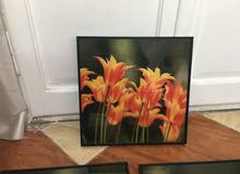 3 تابلوهات مقاس 30 * 30 بحالة ممتازه سعر التلاته مع بعض 150 جنيه 3 تابلوهات مقاس 30 * 30 بحالة ممتازه سعر التلاته مع بعض 150 جنيه