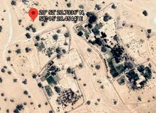 أرض زراعية في محوت الجوبة مساحتها 13800 متر مربع أرض زراعية في محوت الجوبة مساحتها 13800 متر مربع