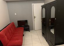 سكن مشتراك شباب المركز التجاري للشيخ زايذ سكن مشتراك شباب المركز التجاري للشيخ زايذ