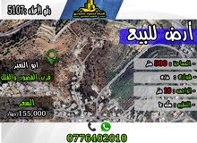 Residential Land for Sale in Amman Bilal