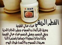 فطر الريشي فطر الريشي