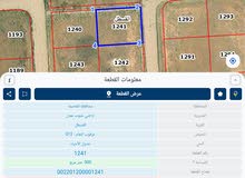 Residential Land for Sale in Amman Al Qastal