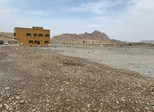 اراضي تجاريه ارضى و 2 في مصفوت علي شارع غلفا العام QWR اراضي تجاريه ارضى و 2 في مصفوت علي شارع غلفا العام QWR