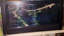 Animal enclosure for sale Animal enclosure for sale