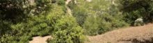 Residential Land for Sale in Bethlehem Beit Jala