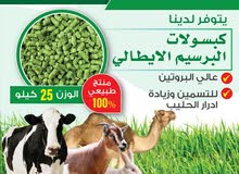 قت اسباني مركب 25 كيلو قت اسباني مركب 25 كيلو