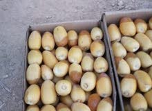 للبيع رطب خلاص طازج من مزارع الخرج للبيع رطب خلاص طازج من مزارع الخرج
