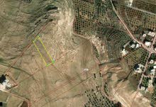 Farm Land for Sale in Irbid Natifa