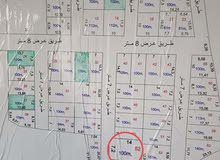 قطعة ارض زاراعي وبيها اقرار محكمة في كربلاء شارع المدرسي 100 م2