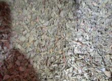 زعتر ورق ناشف نظيف زعتر ورق ناشف نظيف
