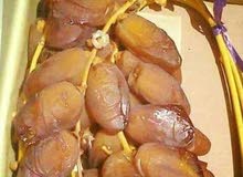 التمور التمور