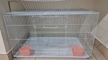 pet crate pet crate