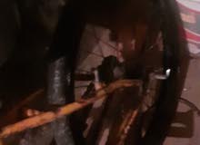 دراجةجبليا دراجةجبليا
