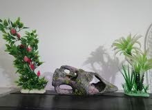 aquarium decoration for selling aquarium decoration for selling