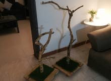 استاند طيور استاند طيور