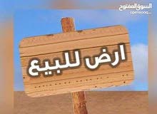 اراضي ومزارع للبيع في الأبيار