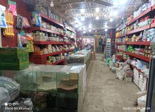 Yearly Shops in Aden Al Buraiqeh