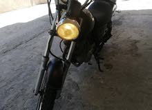 volty suzuki volty suzuki