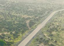 مطلوب شريك ممول لبيع لعسل مطلوب شريك ممول لبيع لعسل