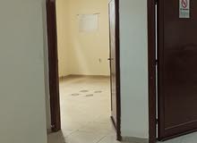 غرفة في شقة للمشاركة غرفة في شقة للمشاركة