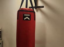Boxing bag with wall mount