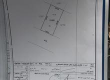 ارض للايجار في الصجعة مسوره land in sjaah sharjah for rent 20000 sf