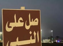 شقه للايجار