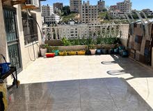 روفف فخر للبيعفي بتونيا