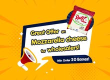 Special offer on Mozzarella Pizza Cheese Special offer on Mozzarella Pizza Cheese